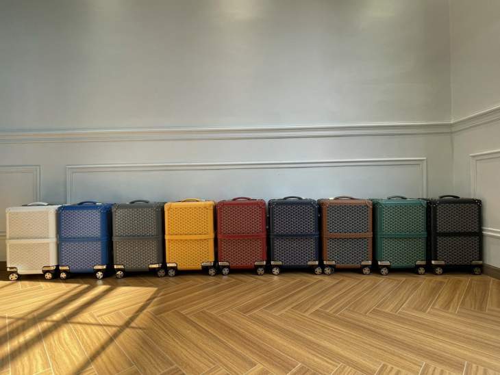 Picture of Goyard Handbags _SKUfw225676282fw
